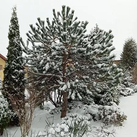 Nova Apartman Dębki